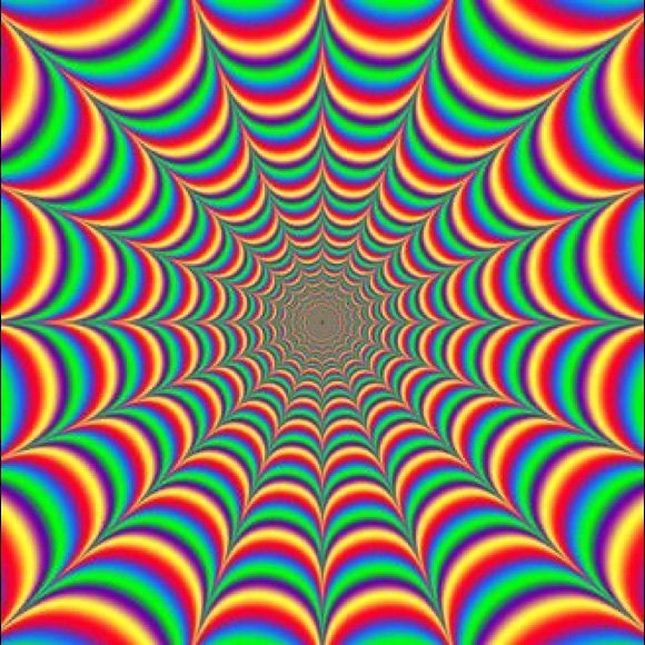 Meet your Posher, Be seen in - Picture 1 of 1